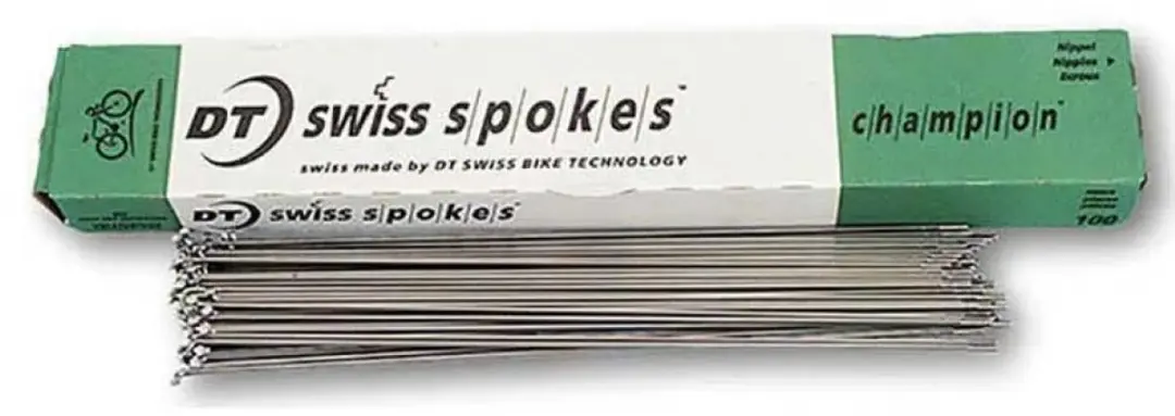 Dt Swiss Champion J-bend Spaken 100 Eenheden Zilver 2.0 x 263 mm