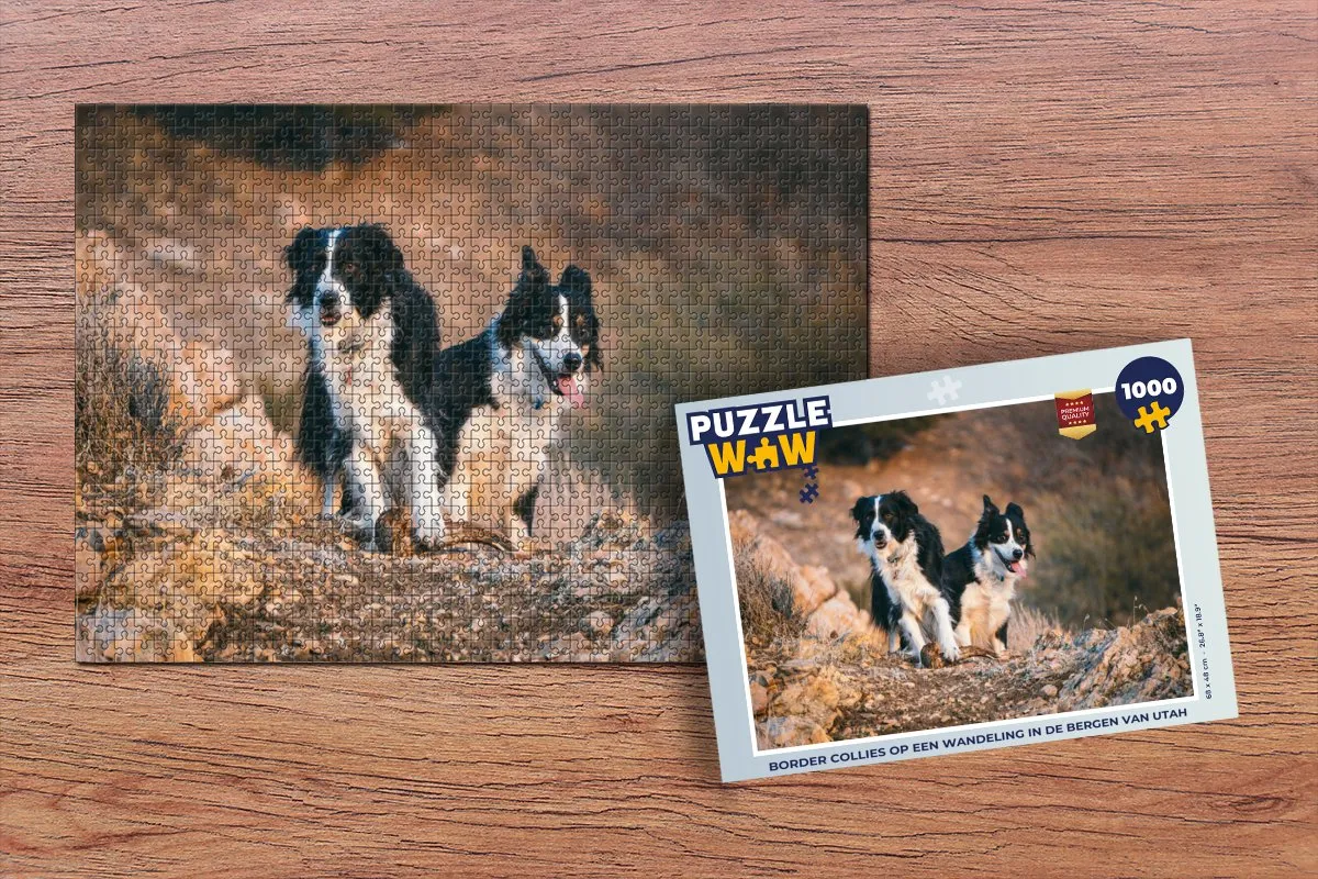 PuzzleWow Border Collies Utah Legpuzzel 1000 Stuks