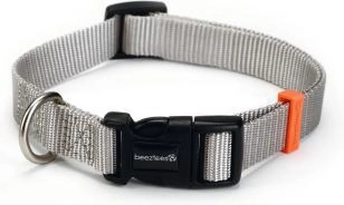Beeztees Nylon Halsband Uni Lichtgrijs 35-50cm x 20mm
