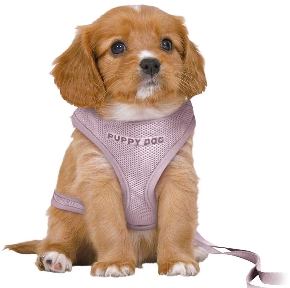 Trixie Junior Puppytuig Soft - Lila - 26-34x1cm - afbeelding 2 van 6