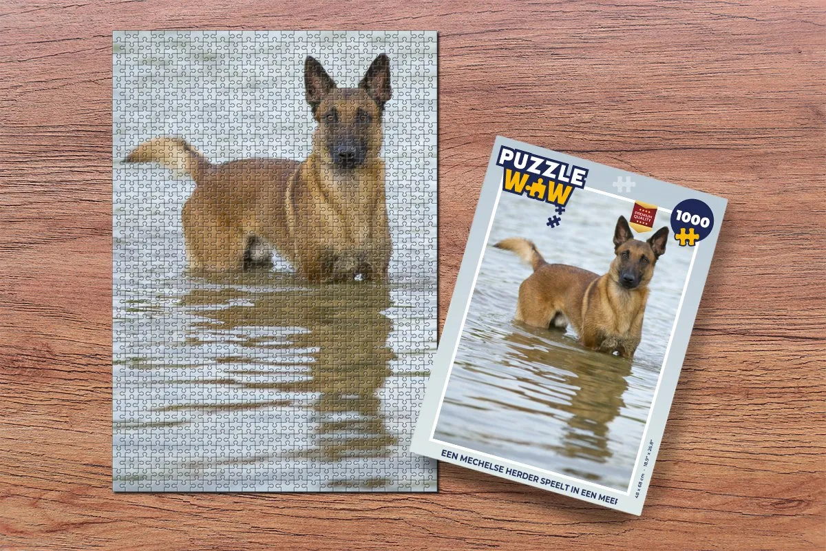 PuzzleWow Legpuzzel Mechelse Herder Meer 1000 Stuks - Multicolor