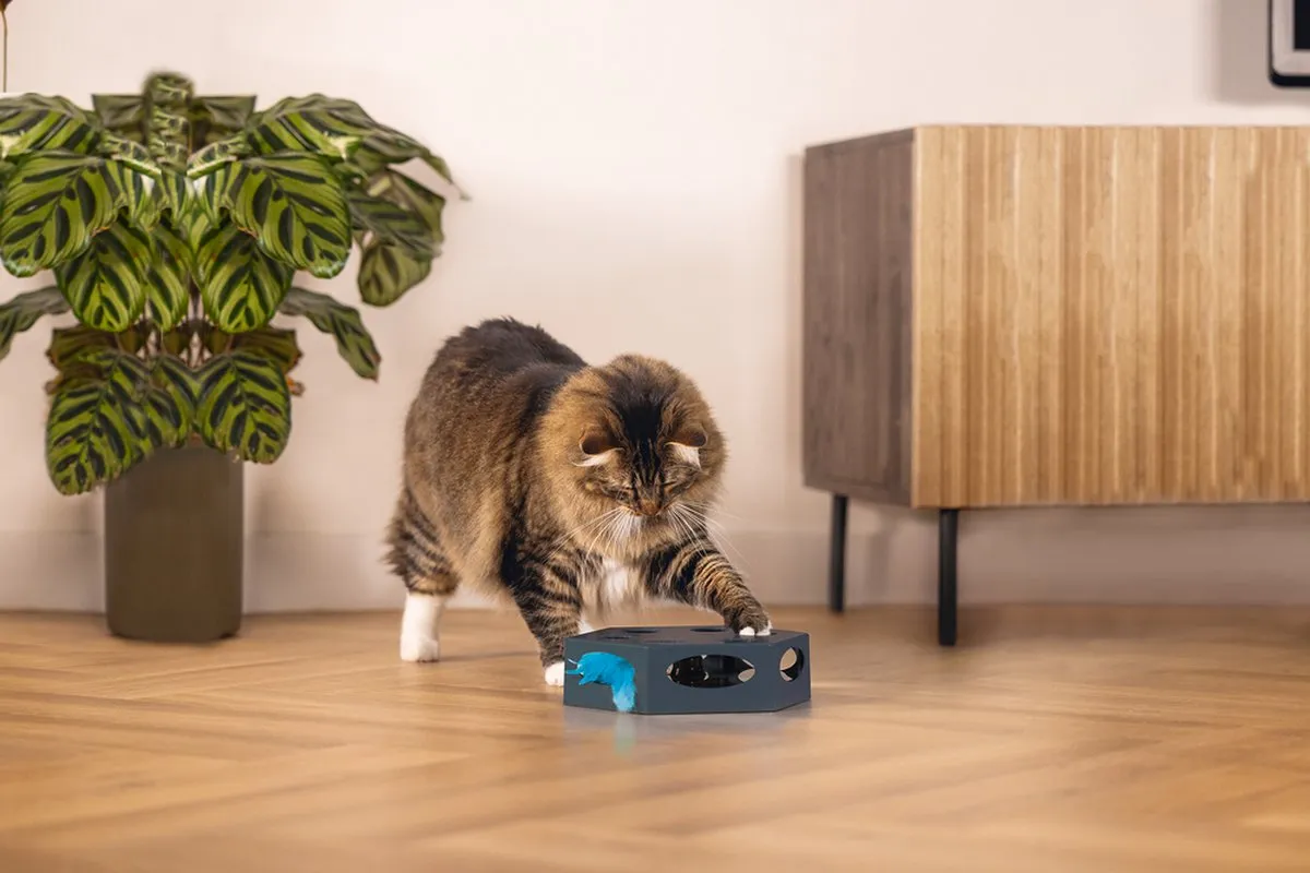 Beeztees Prooi Interactief Kattenspeelgoed - Grijs