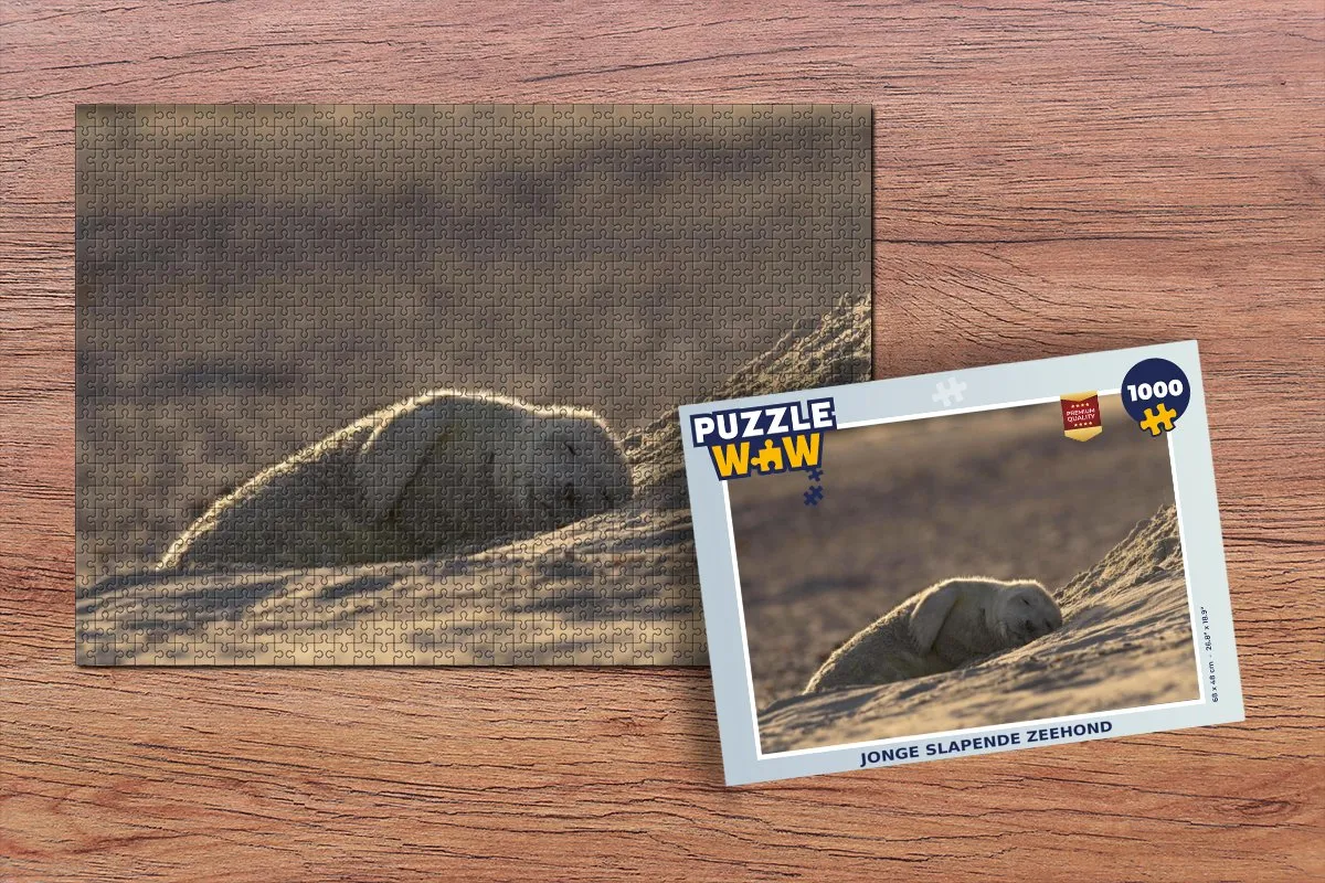 PuzzleWow Zeehond Legpuzzel 1000 Stuks - Multicolor