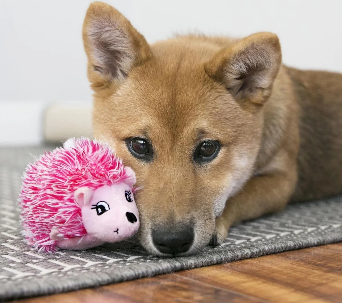 KONG Comfort Hedgehug Puppy Egels - Roze M