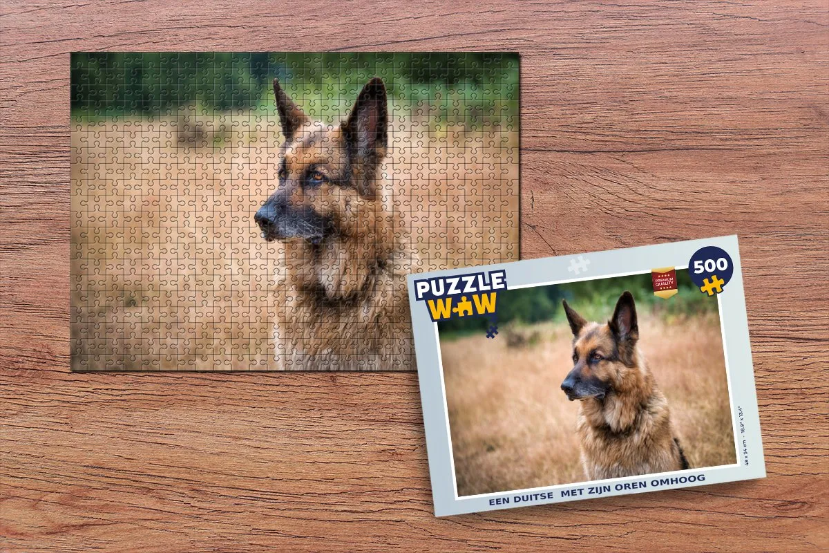 PuzzleWow Legpuzzel 500 Stuks - Multicolor