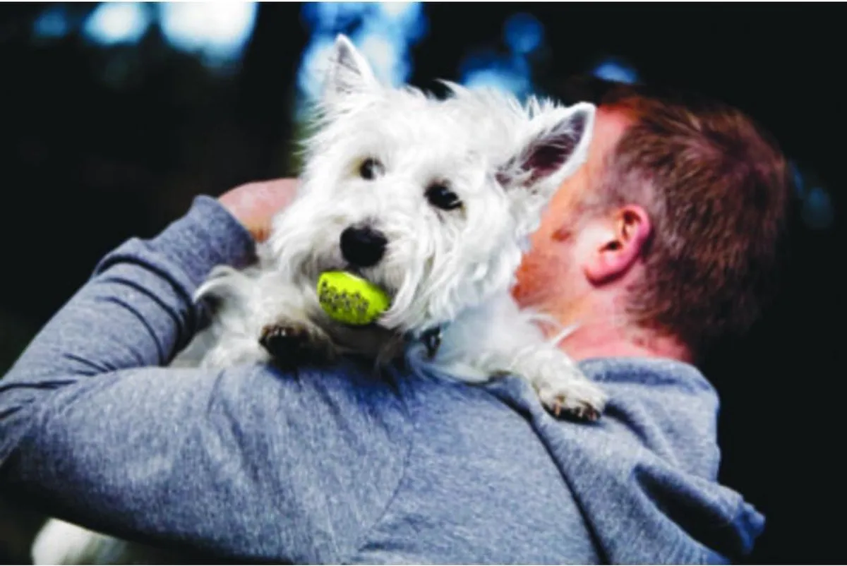 Kong Squeakair Ball - Hondenspeelgoed -  6 St