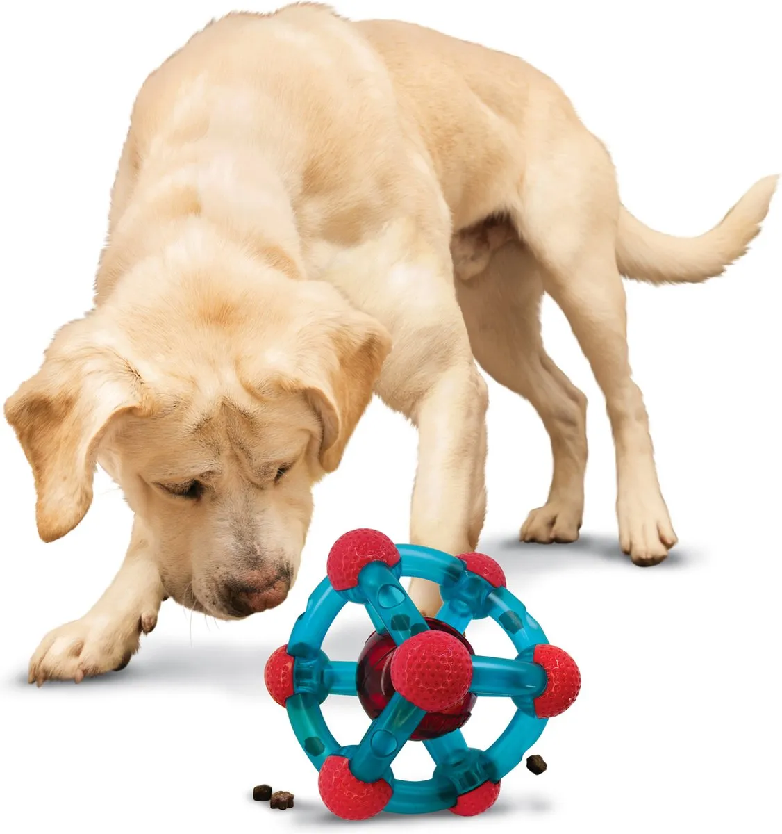 KONG Rewards Tinker Speelgoed - 14,5 cm - Rood/Blauw - afbeelding 4 van 5