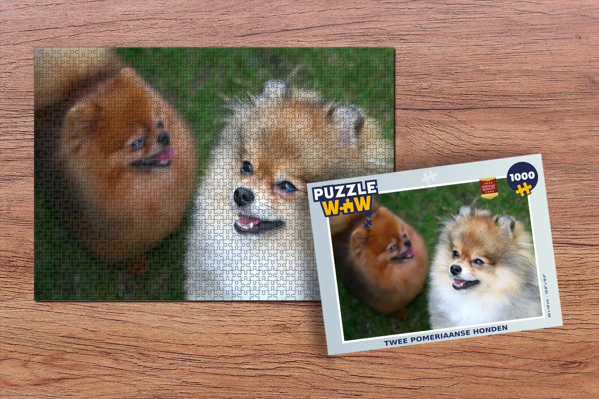 PuzzleWow Legpuzzel 1000 Stuks Twee Pomerianse Honden - Multicolor