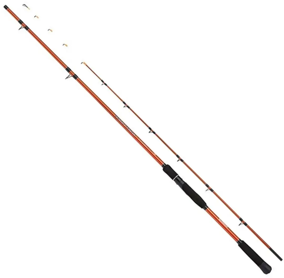 Shimano Fishing Beastmaster Tataki Bodemvissen Hengel Goud 2.44 m / 250 g