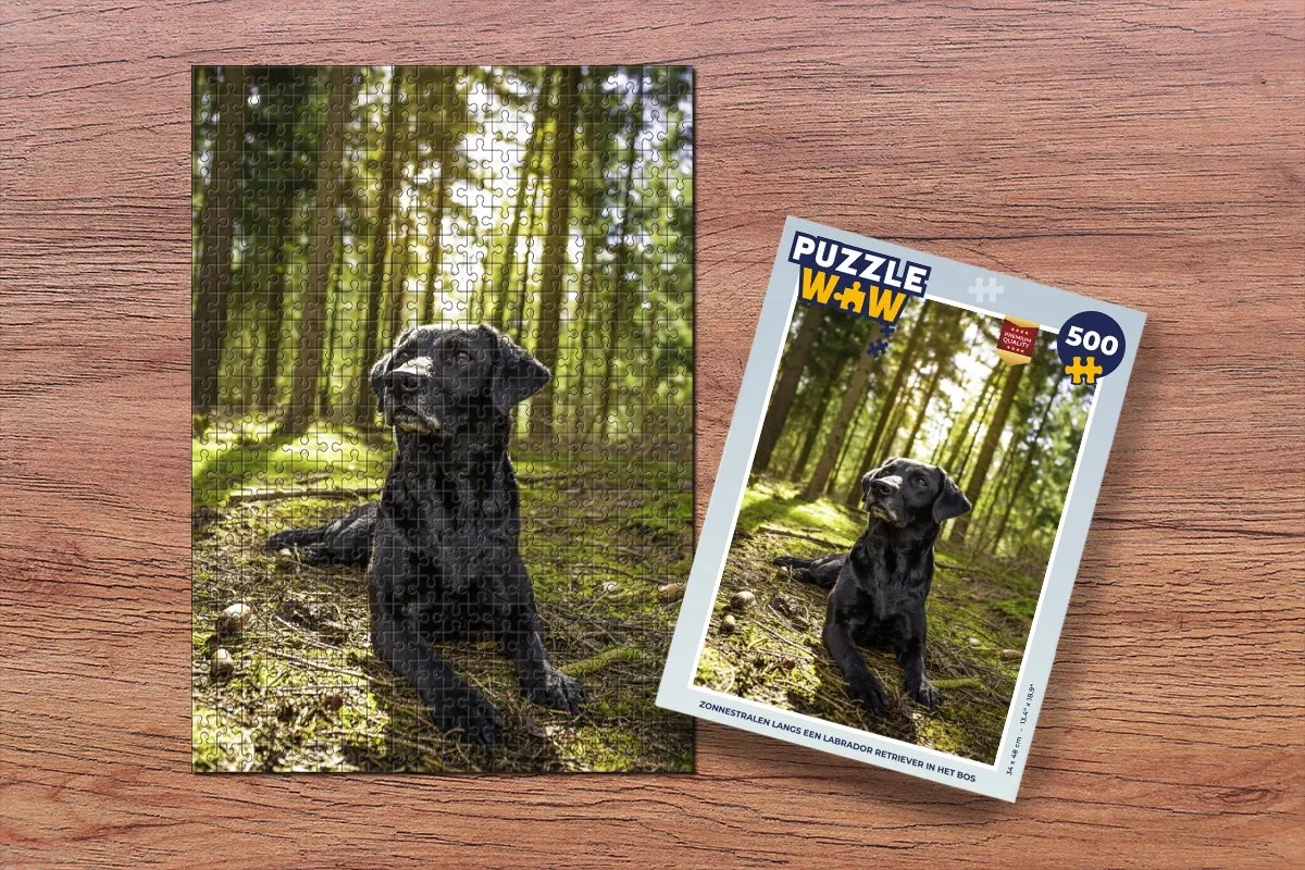 PuzzleWow Legpuzzel Zonnestralen Labrador 500 Stuks - Multicolor