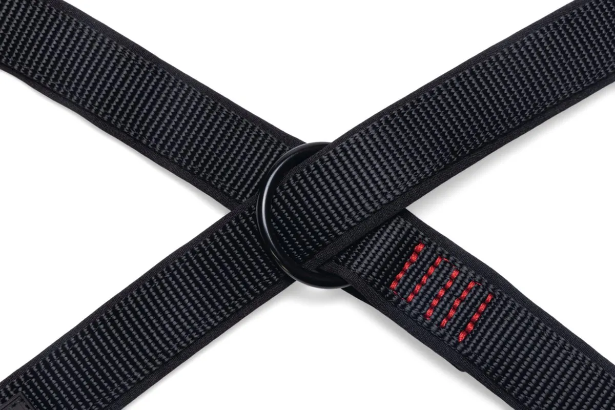 Beeztees Parinca Premium Hondenriem - Zwart 2m x 20mm