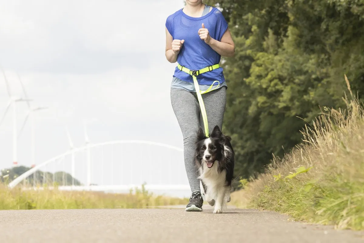 Flamingo Heupriem Jogginglijn - S Geel