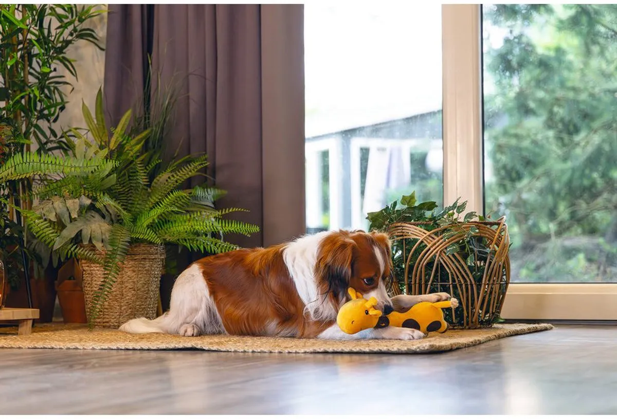 Beeztees Jungle Gigi