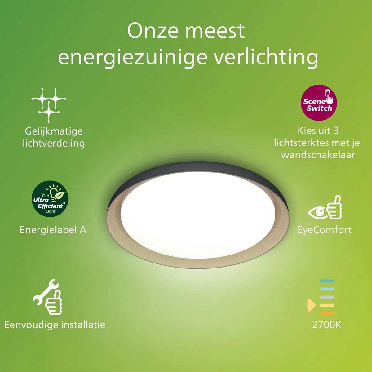 Philips Pebblo Plafondlamp 10W Warmwit - Zwart/Goud