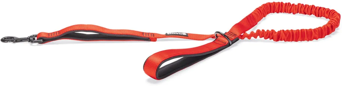 Beeztees Parinca Premium Elastische Hondenriem