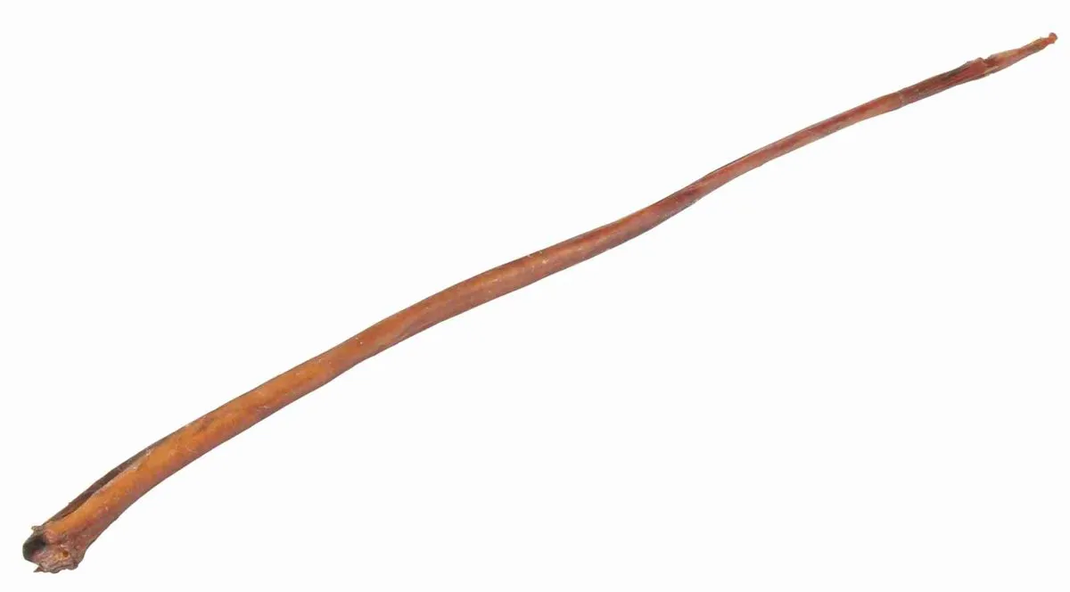 Trixie Bullenpees Gedroogd 30cm - 10 Stuks