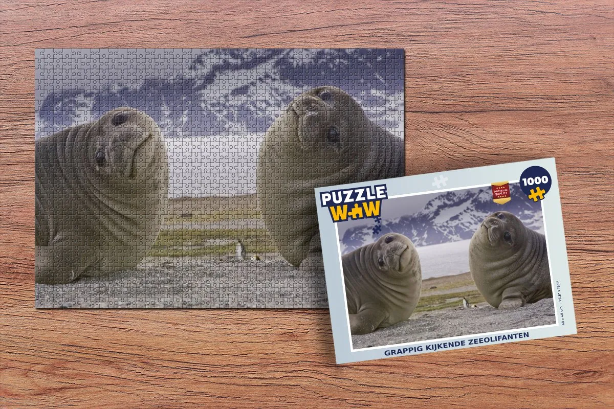 PuzzleWow Zeehonden Legpuzzel 1000 Stuks - Multicolor