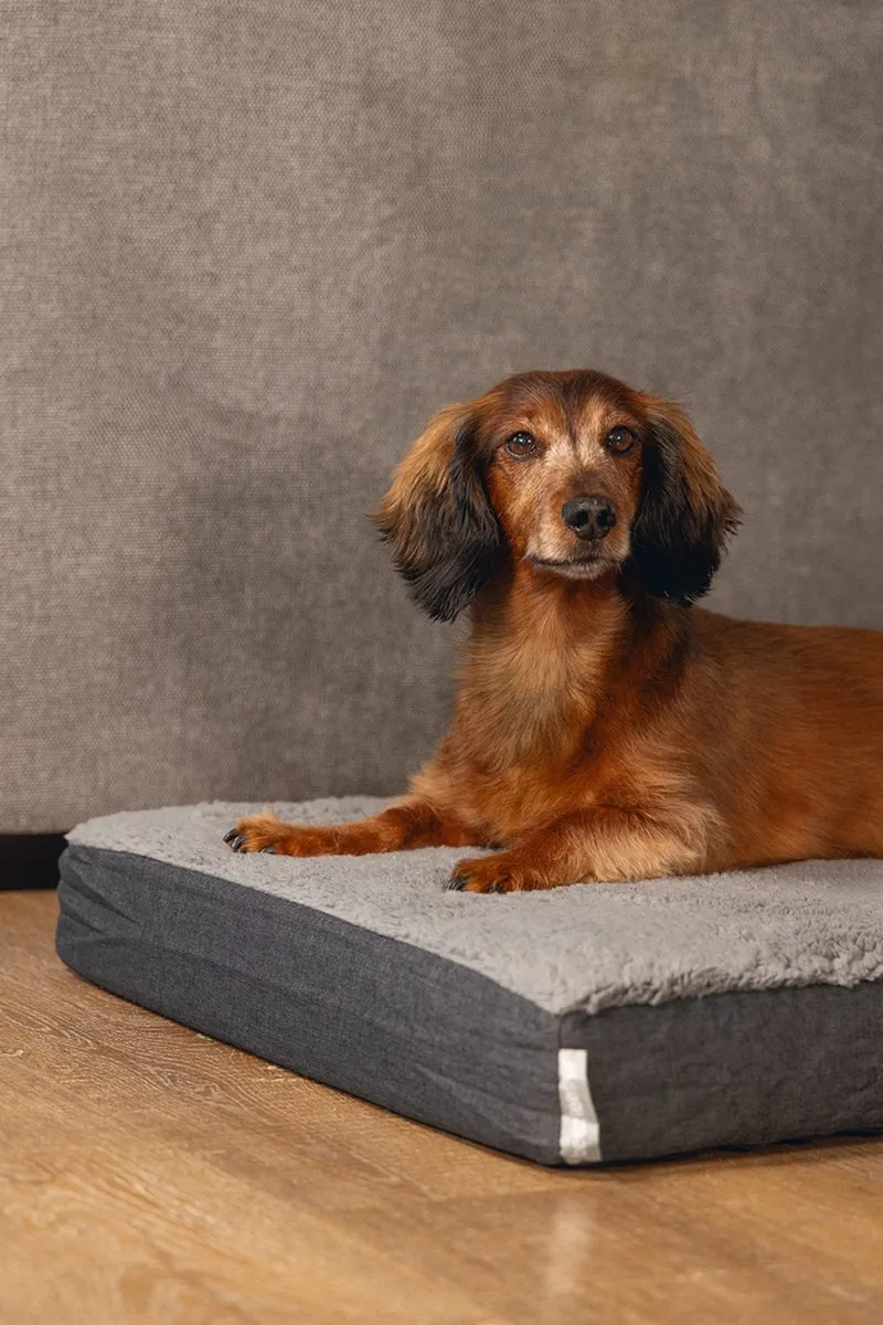 Beeztees Memory Foam Zira Hondenkussen - Grijs 75x50x9cm