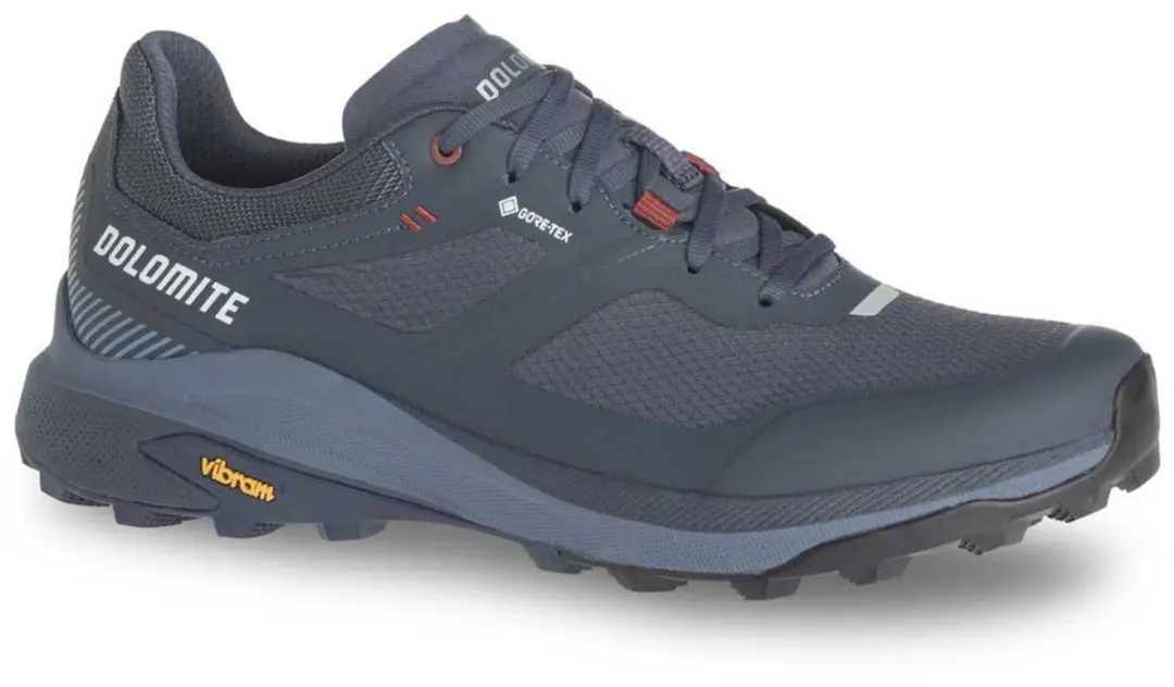 Dolomite Nibelia Gore-tex® Wandelschoenen Grijs EU 45 Man