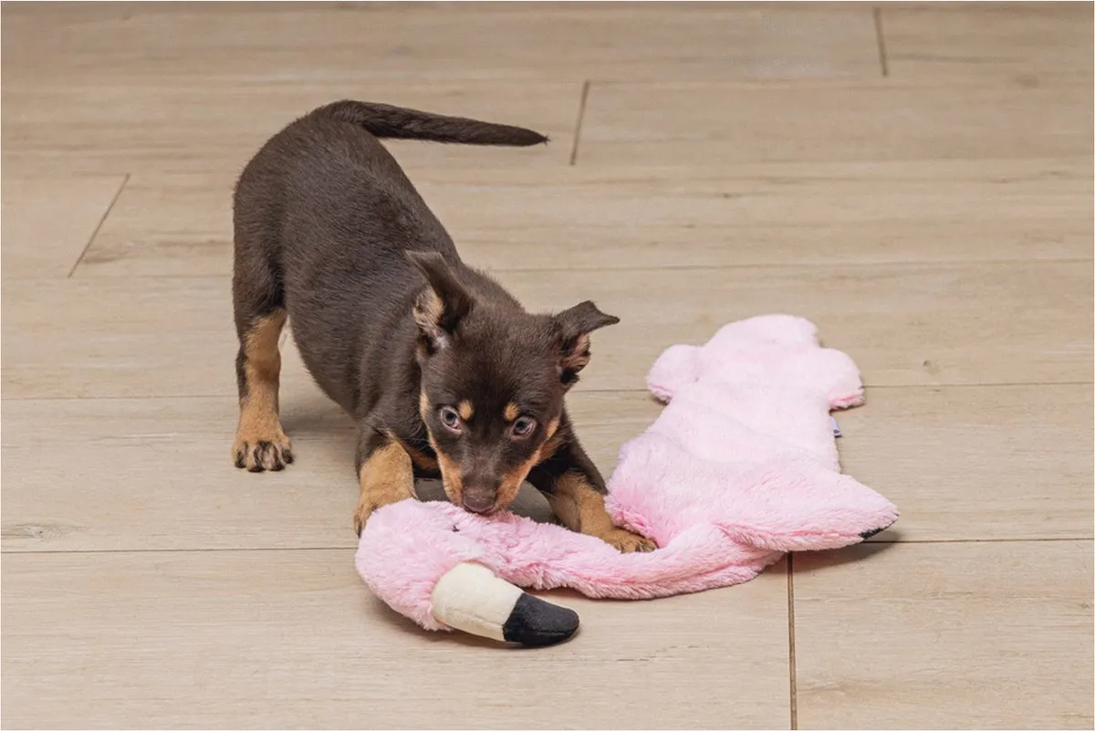 Beeztees Puppy Flatino Flamingo Hondenspeelgoed - Roze