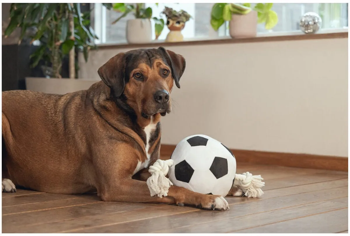 Beeztees Voetbal Hondenspeelgoed M - Zwart/Wit