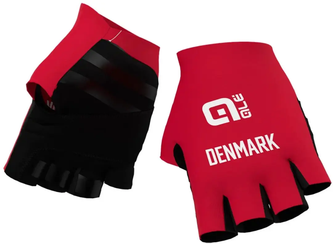 Ale Federazione Danese Handschoenen Rood S