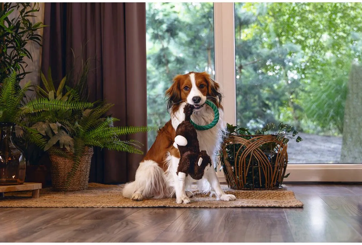 Beeztees Jungle Mats