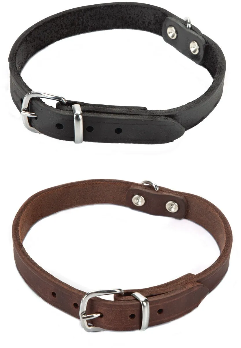 Beeztees Halsband Hond Leer - 32-37 cm x 16 mm - Zwart