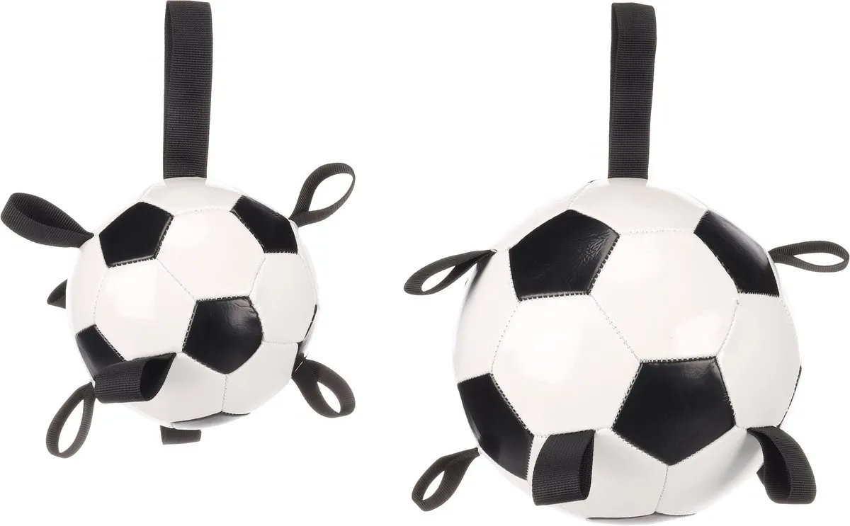 Flamingo Towa Voetbal Drijvend Hondenspeelgoed - Ø19cm