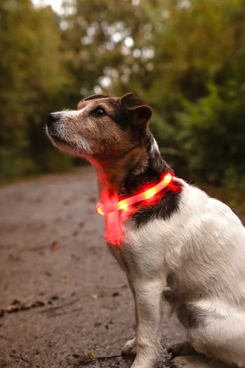 Flamingo Visio Nera Halsband Honden - Rood 20-70cm