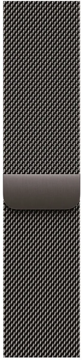 Apple Leisteen Milanees Bandje 46mm
