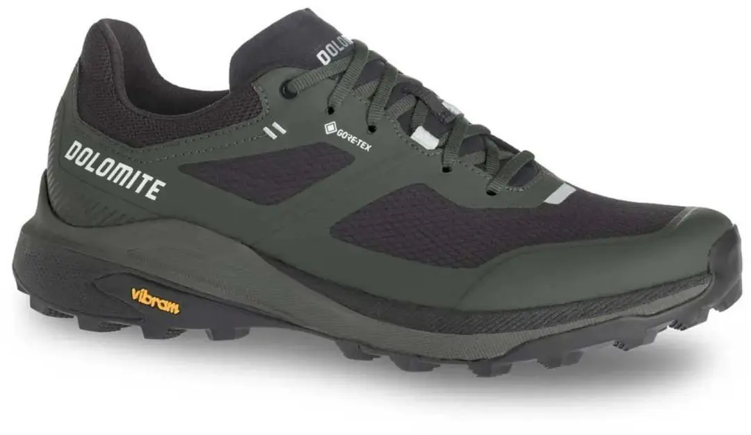 Dolomite Nibelia Gore-tex® Wandelschoenen Groen EU 46 1/2 Man