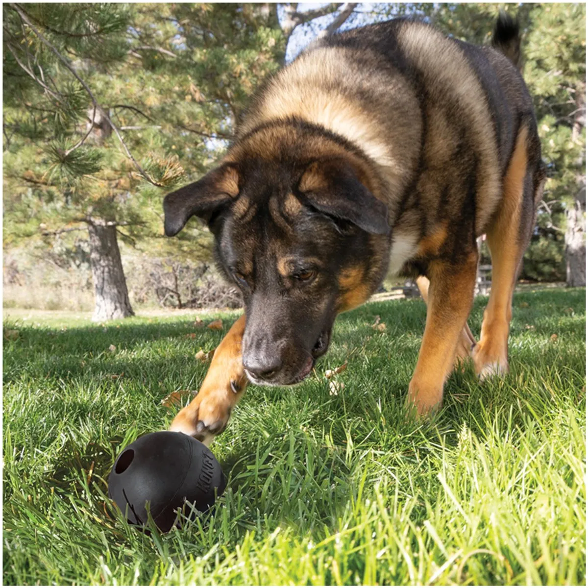 KONG Extreme Bal - Zwart S