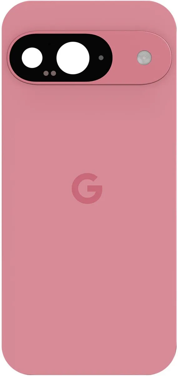 Google Pixel 9 Pro Achterruit
