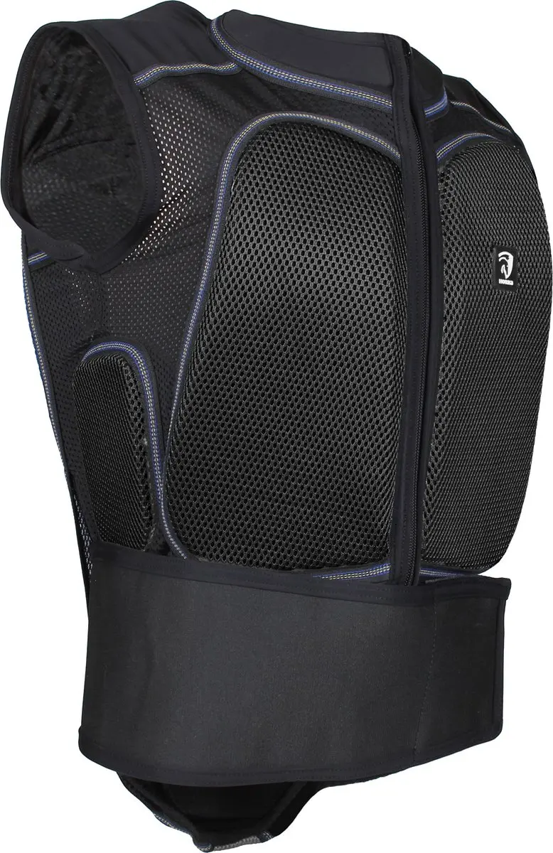 BACK PROTECTOR