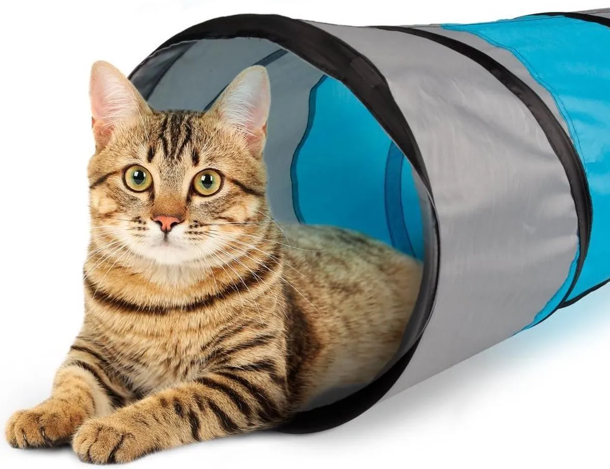 Flamingo Kattenspeel Tunnel Linz - 50x25x25cm - Blauw