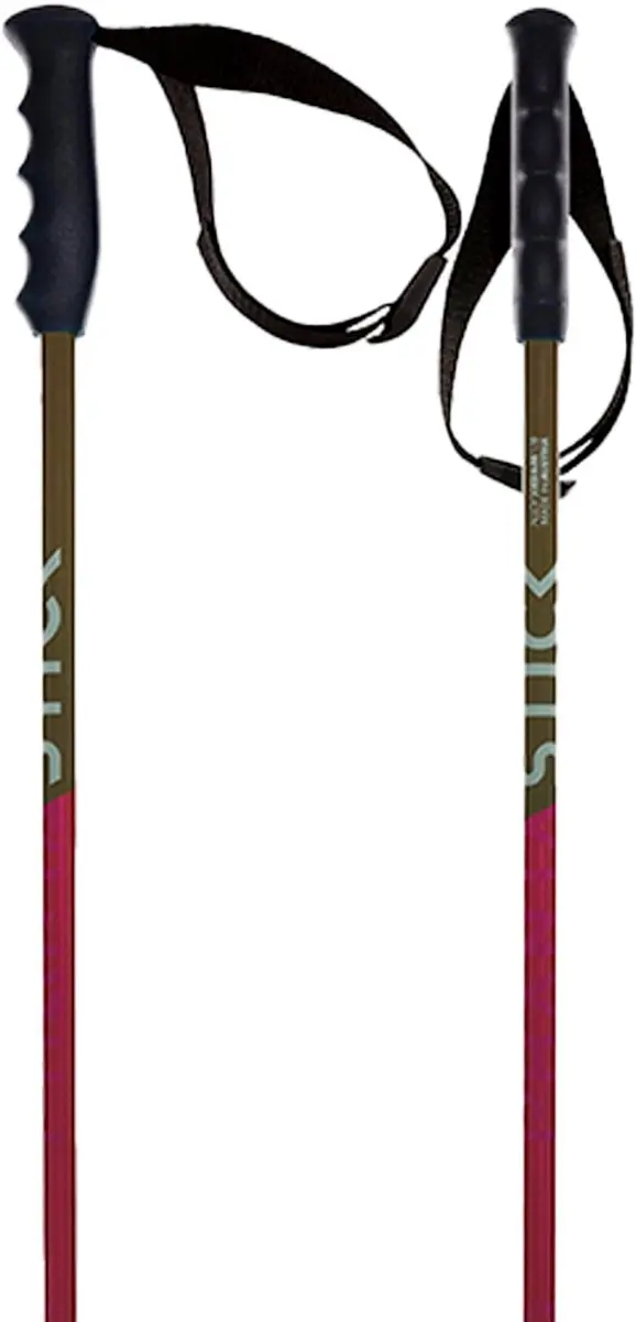 Volkl Phantastick Junior Stokken Transparant 105 cm Kinderen