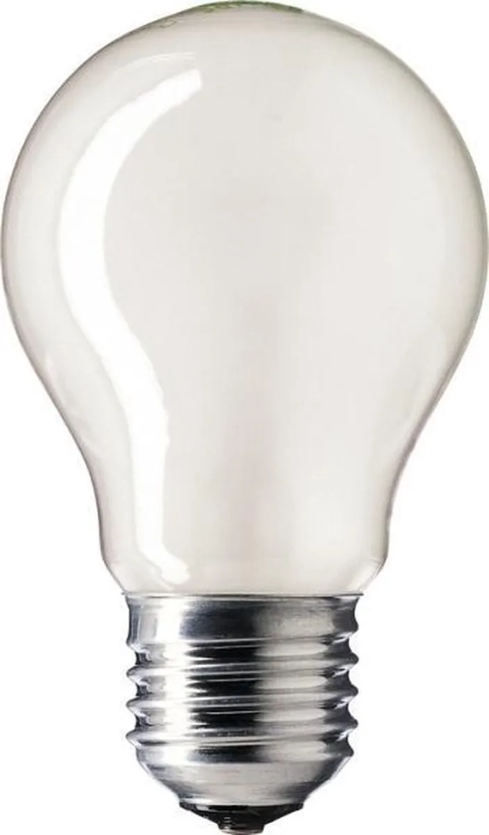 Philips LED Standaardlamp E27 25W