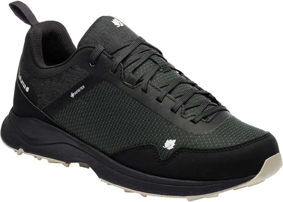 Lafuma Shift Goretex Wandelschoenen Grijs EU 45 1/3 Man