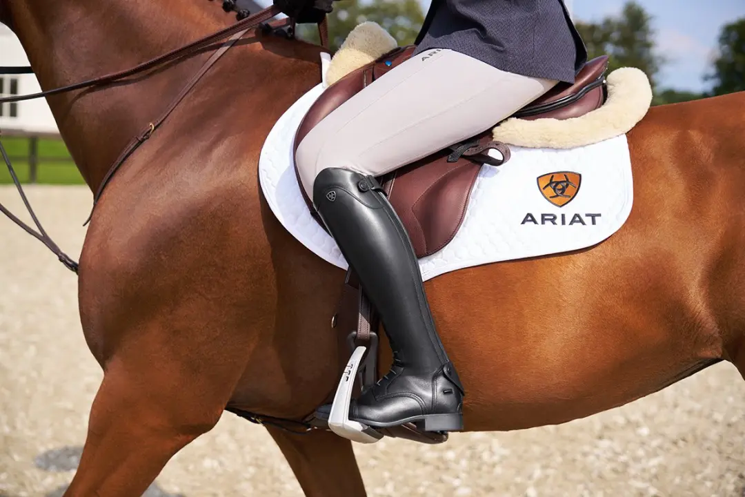 Ariat Palisade Tall Rijlaarzen 38RS Zwart - afbeelding 4 van 6