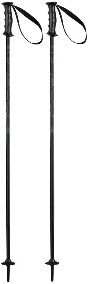 Elan Rock Rod Junior skistokken - Zilver 75 cm - afbeelding 3 van 6