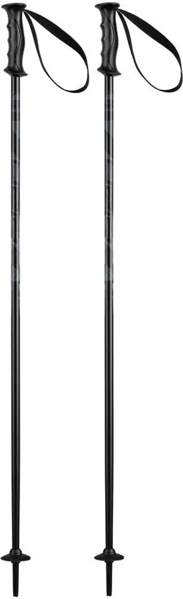 Elan Rock Rod Junior skistokken - Zilver 75 cm - afbeelding 2 van 6