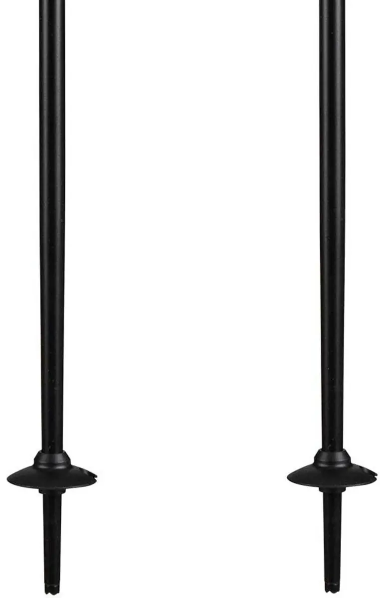 Elan Rock Rod Junior skistokken - Zilver 75 cm - afbeelding 5 van 6