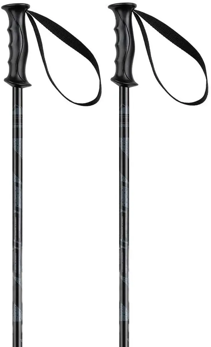 Elan Rock Rod Junior skistokken - Zilver 75 cm - afbeelding 6 van 6