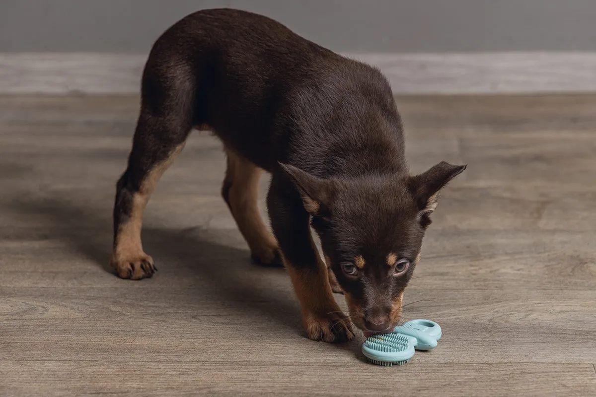 Beeztees Puppy Rubber Dental Fopspeen - Groen