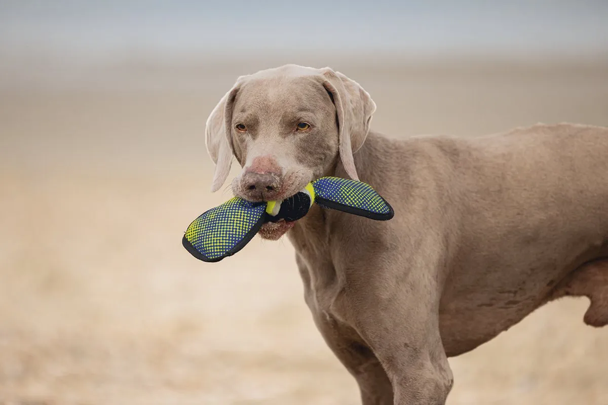 Beeztees Fetch Wing Tennisbal - Blauw/Geel