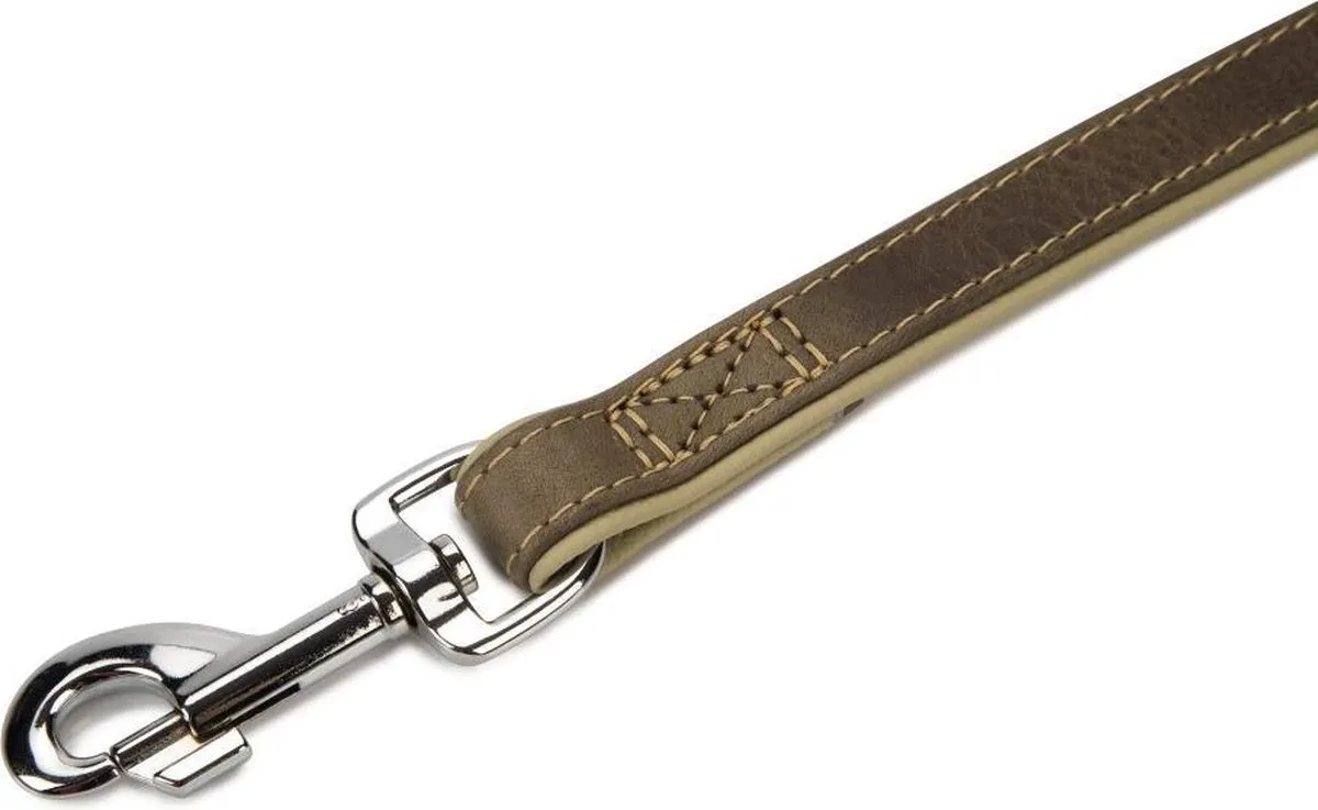Beeztees Comfort Hondenriem - Leer Grijs 100x22mm