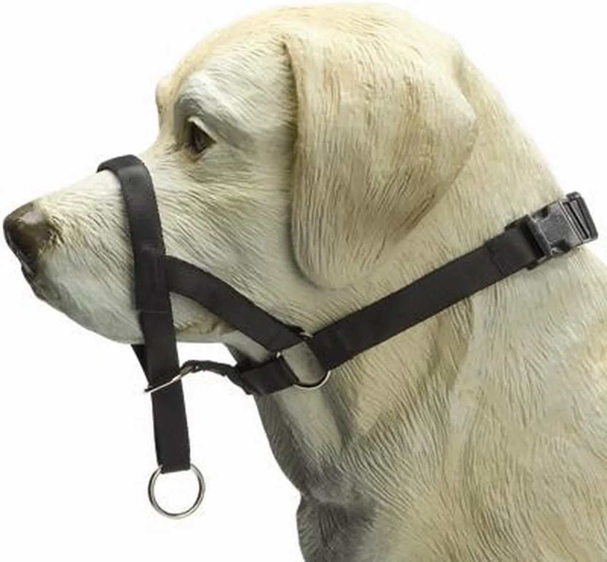 Beeztees Halsband Hond - Zwart S