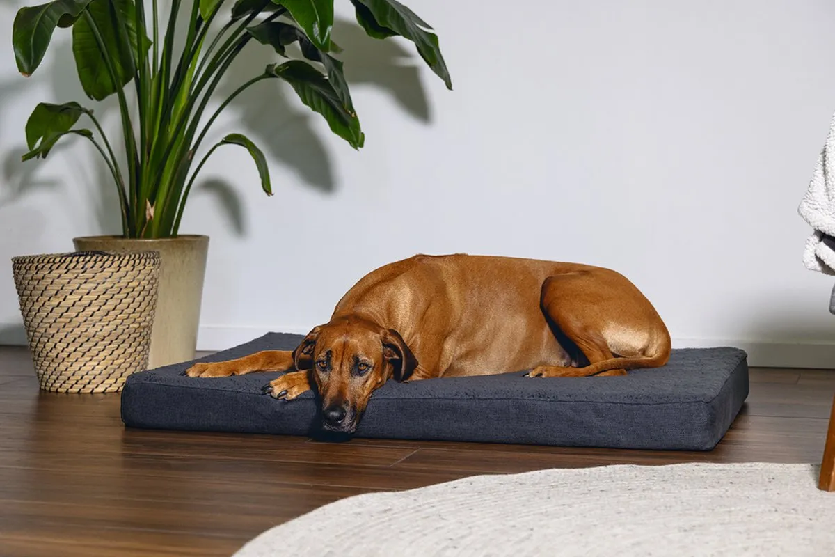 Beeztees Orthopedisch Hondenkussen Zira 120cm - Donkergrijs - afbeelding 6 van 6