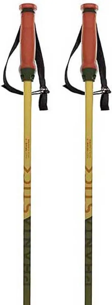 Volkl Phantastick 16 Mm Stokken Groen 120 cm